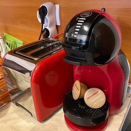 Hq Flora Violet Borovec