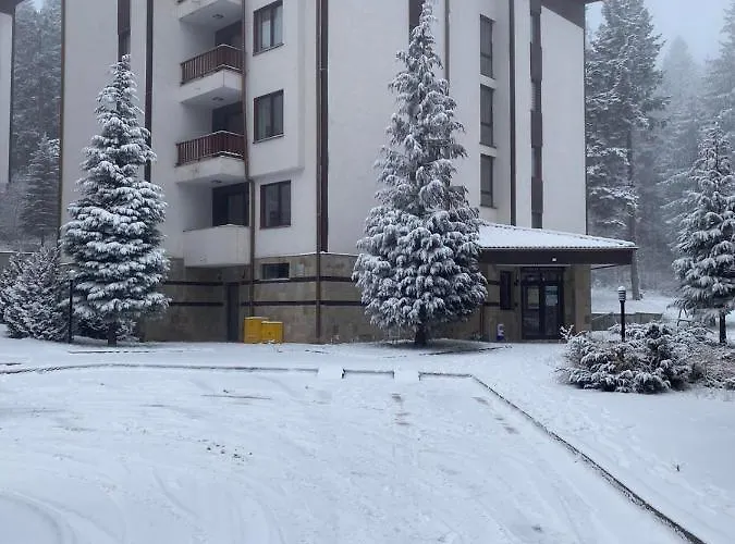 Appartamento Hq Flora Violet *